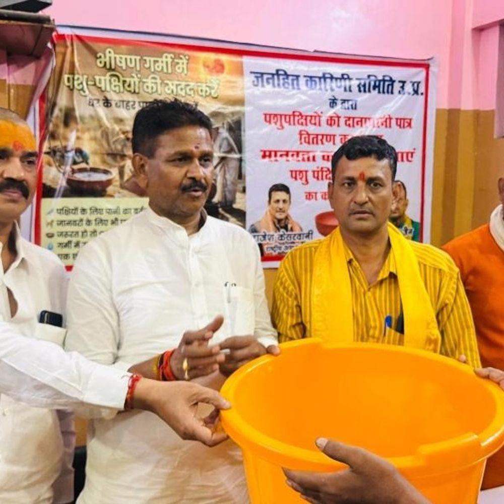 प्रयागराज में पशु-पक्षियों के लिए दाना-पानी पात्र वितरित:महापौर ने कहा- इनकी सेवा ही मानवता का सच्चा अर्थ