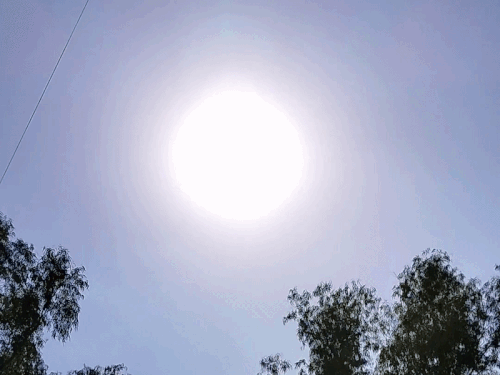 चित्तौड़गढ़ में तेज धूप के बावजूद मौसम बदलने का अलर्ट:  29.2 डिग्री पहुंचा न्यूनतम तापमान, उमस ने बढ़ाई परिजनों, आंधी, बारिश और ओलावृष्टि के आसार – Chittorgarh News
