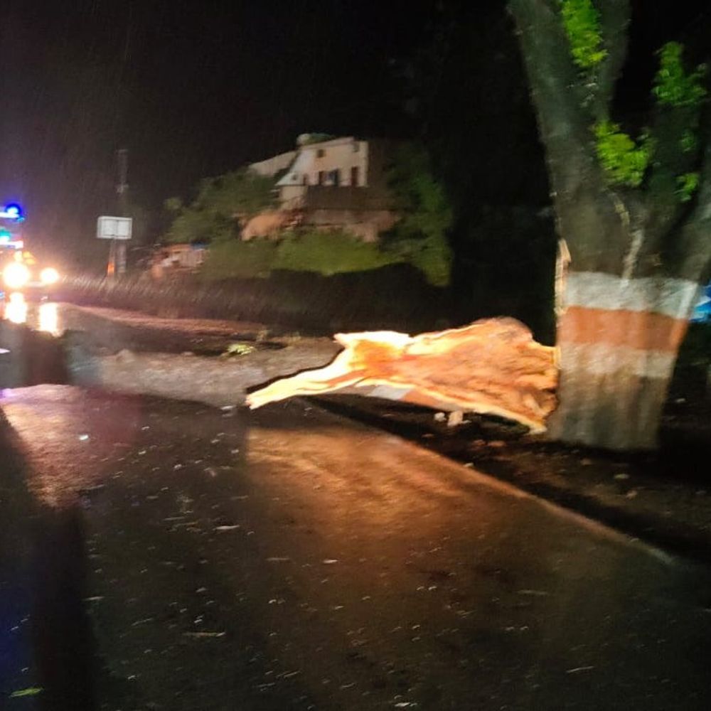 ललितपुर में तेज आंधी-बारिश, जलभराव से जनजीवन प्रभावित:सड़क पर गिरे पेड़, जाम में फंसे लोग; विद्यूत आपूर्ति बाधित
