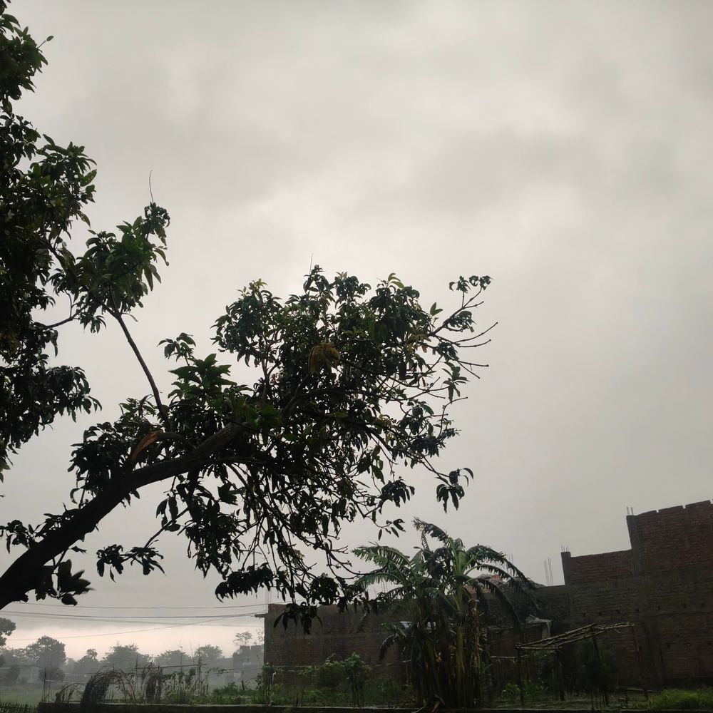 शिवहर में तेज आंधी के साथ बारिश:  जगह-जगह जलजमाव, आवाजाही रुकी; शादी-विवाह में आई परेशानी, गर्मी से राहत मिली – Sheohar News