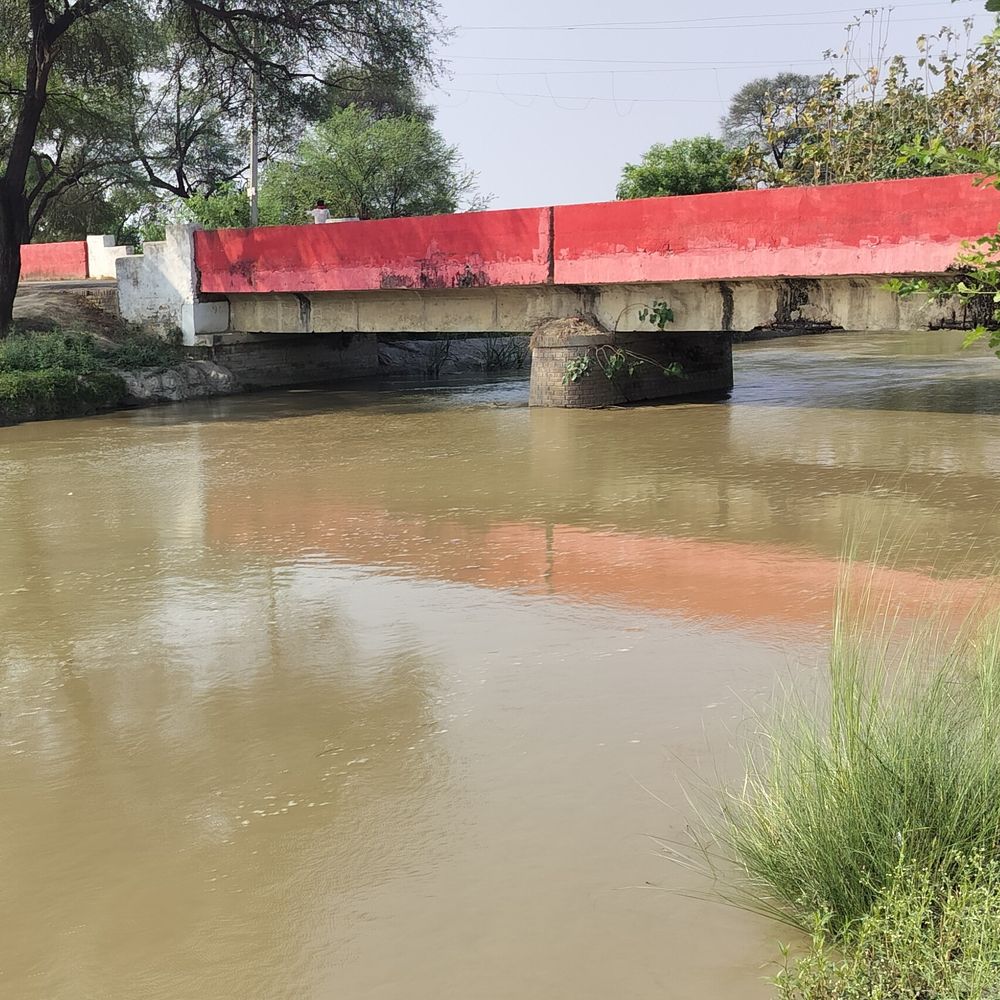 शारदा सहायक नहर में पानी आने के बावजूद माइनर सूखे:2 लाख किसान परेशान; आंधी-बारिश से सब्जी-मक्का फसल को नुकसान