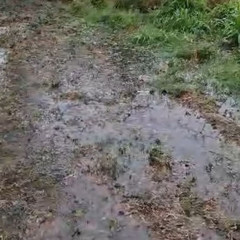 संभल में 5 घंटे बारिश हुई, 4 डिग्री पारा गिरा:ठंडी हवाओं से मौसम बदला, 44 मिलीमीटर बारिश दर्ज की गई