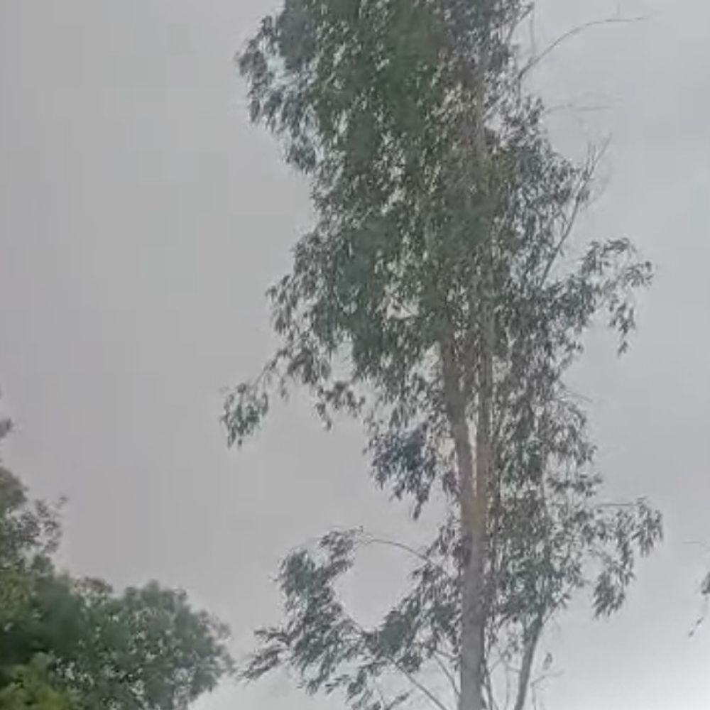 अम्बेडकरनगर में मौसम बदला, आंधी-धूल और बूंदाबांदी:जनजीवन प्रभावित, अगले दो दिनों तक ऐसे ही मौसम की संभावना