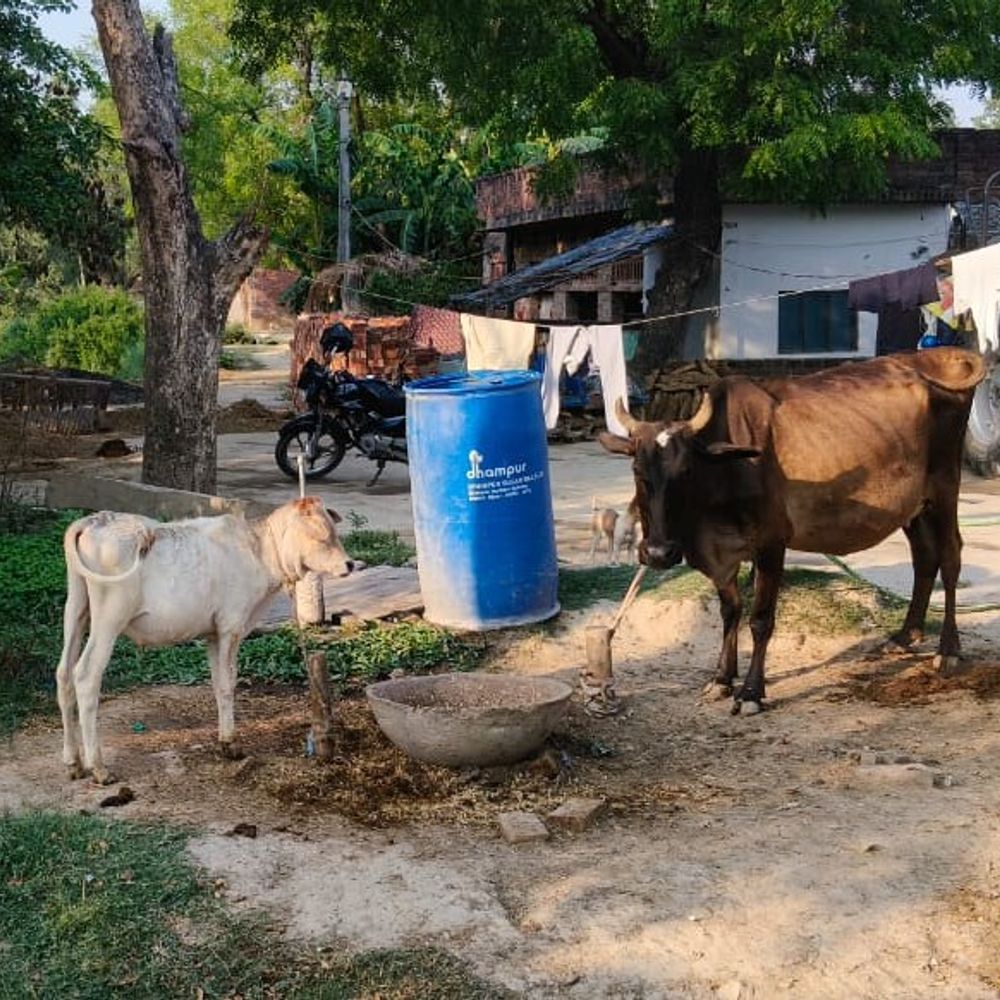 विवादित भूमि से जबरन खड़ंजा निकालने का आरोप:सीतापुर में कोर्ट में लंबित मामले के बीच कार्रवाई पर उठे सवाल