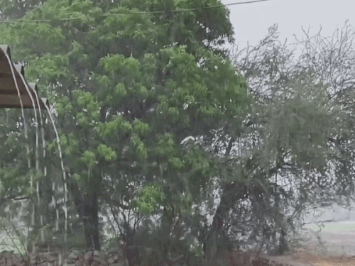 14 एमएम बारिश के बाद सुहावना हुआ मौसम:  5.4 डिग्री गिरा न्यूनतम तापमान, मंगलवार को भी बारिश के आसार – Chittorgarh News