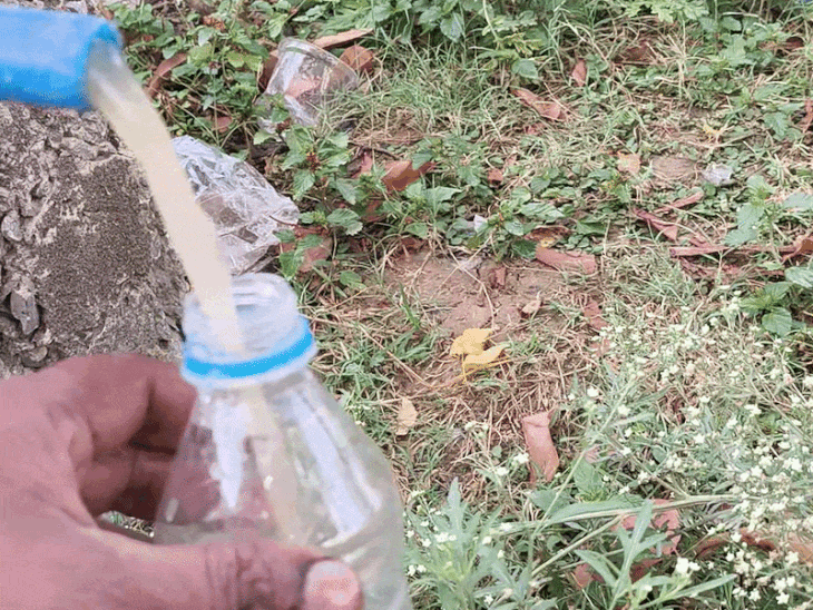 रीवा के तिवनी में नल से नाले जैसा गंदा पानी:  सैकड़ों परिवार परेशान; ग्रामीणों में बीमारी का डर – Rewa News