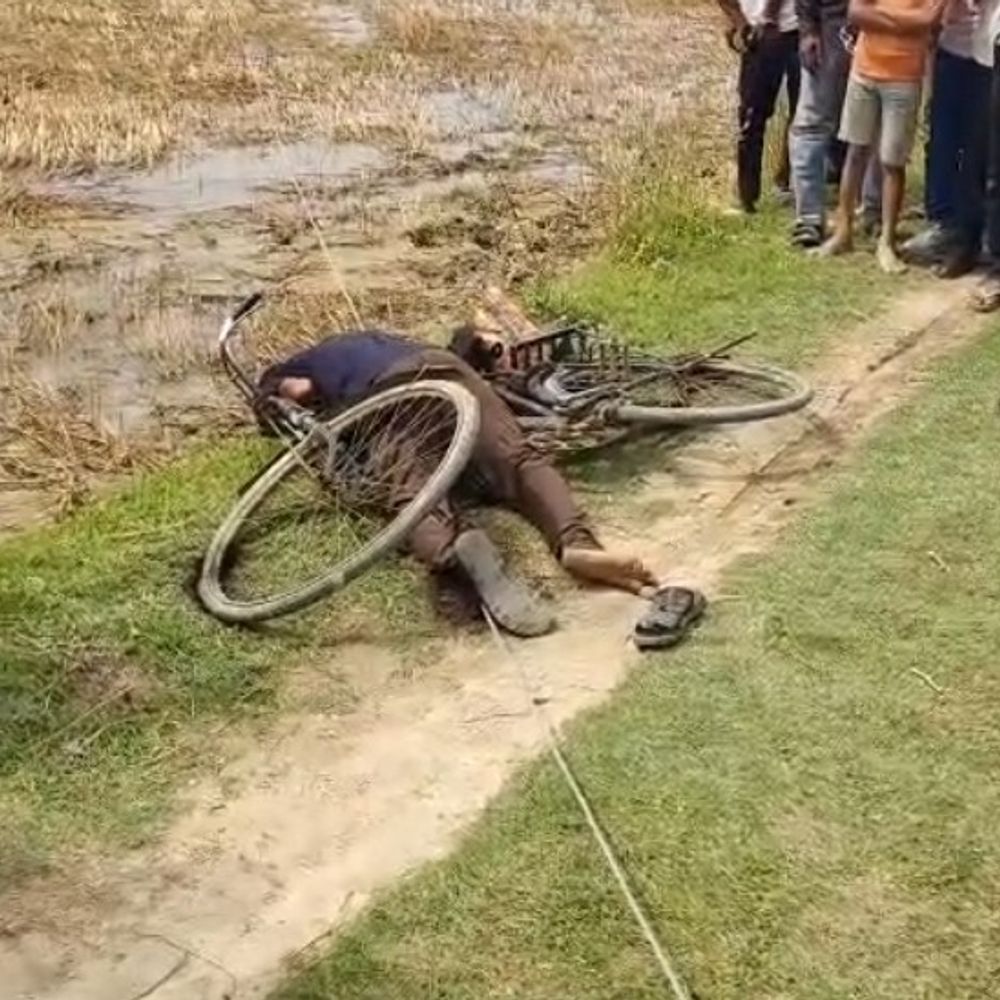 श्रावस्ती में टूटी हाईटेंशन लाइन से किसान की मौत:4 दिन से गिरी लाइन, ग्रामीणों ने बिजली विभाग पर लापरवाही का आरोप लगाया