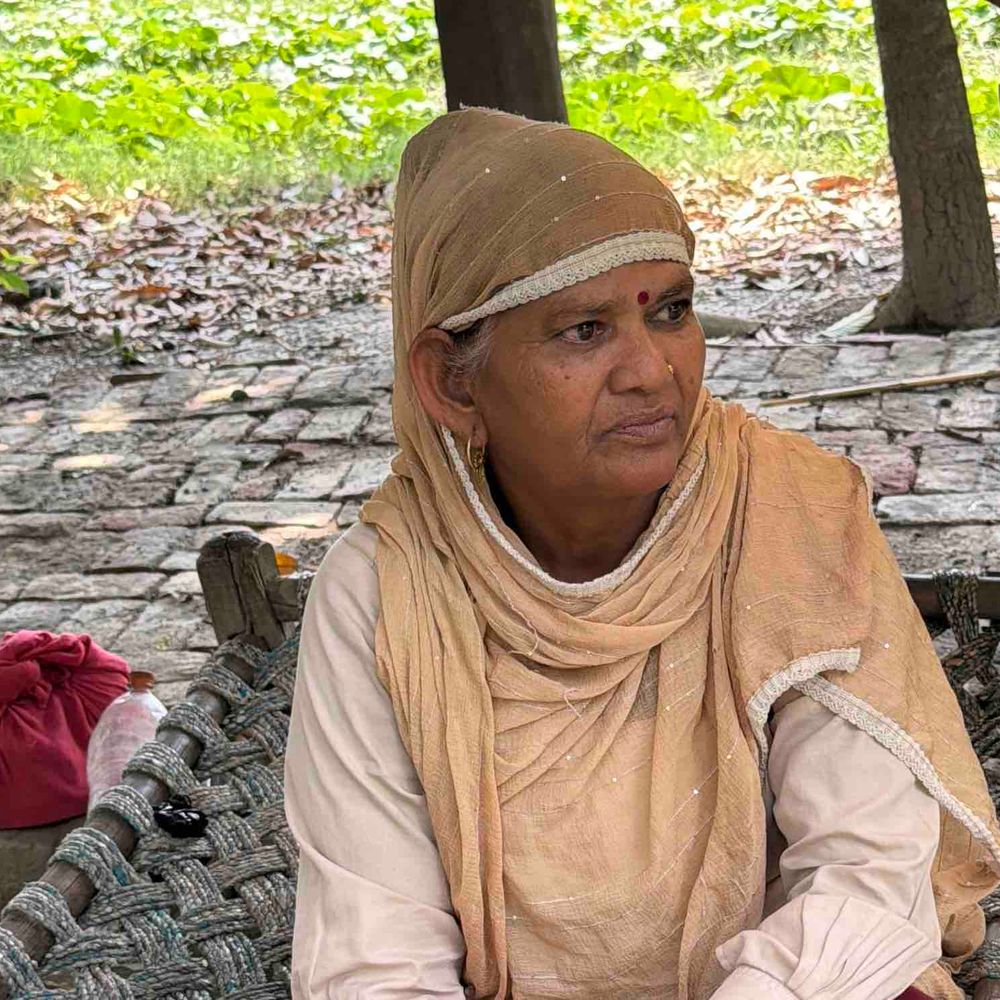 रामपुर में तेज आंधी से आम की फसल तबाह:बागवानों को भारी नुकसान, पेड़ों से गिरी अमिया, दाम नहीं मिल रहे