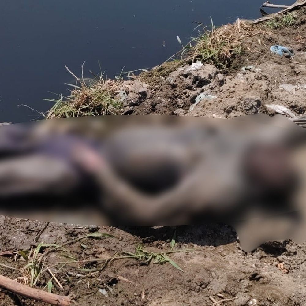फरीदाबाद की नहर में मिला युवक का शव:  जेब में मिले आधार कार्ड से हुई पहचान, दिल्ली का रहने वाला – Ballabgarh News