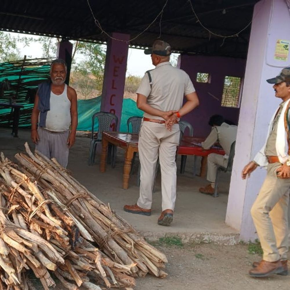 पवई के 5 ढाबों पर वन विभाग की छापेमारी:  दो जगह से अवैध लकड़ी जब्त, संचालकों पर केस दर्ज – Panna News