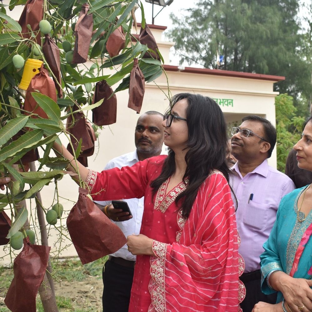 उन्नाव में आम क्रेता-विक्रेता सम्मेलन आयोजित:संतुलित उर्वरक उपयोग पर भी चर्चा, 106 किसानों ने लिया भाग