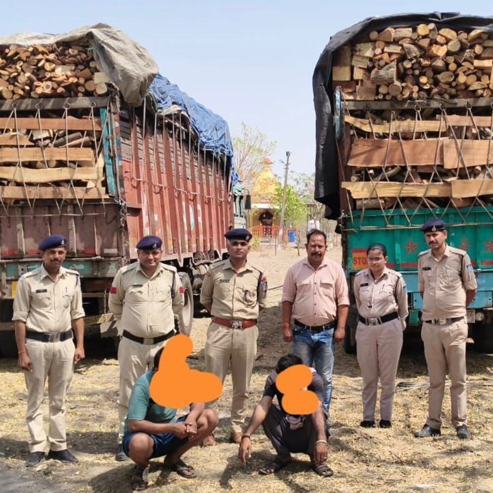 देवास पुलिस ने पकड़े अवैध लकड़ी से भरे दो ट्रक:मुखबिर की सूचना पर रात 2 बजे हुई घेराबंदी, वन विभाग को सौंपा