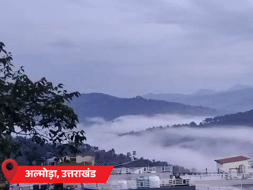 यूपी-बिहार में आंधी-बिजली से 24 घंटे में 31 मौतें:हरियाणा में तूफान से 15 हजार पेड़ उखड़े; राजस्थान में पारा 8°C तक गिरा