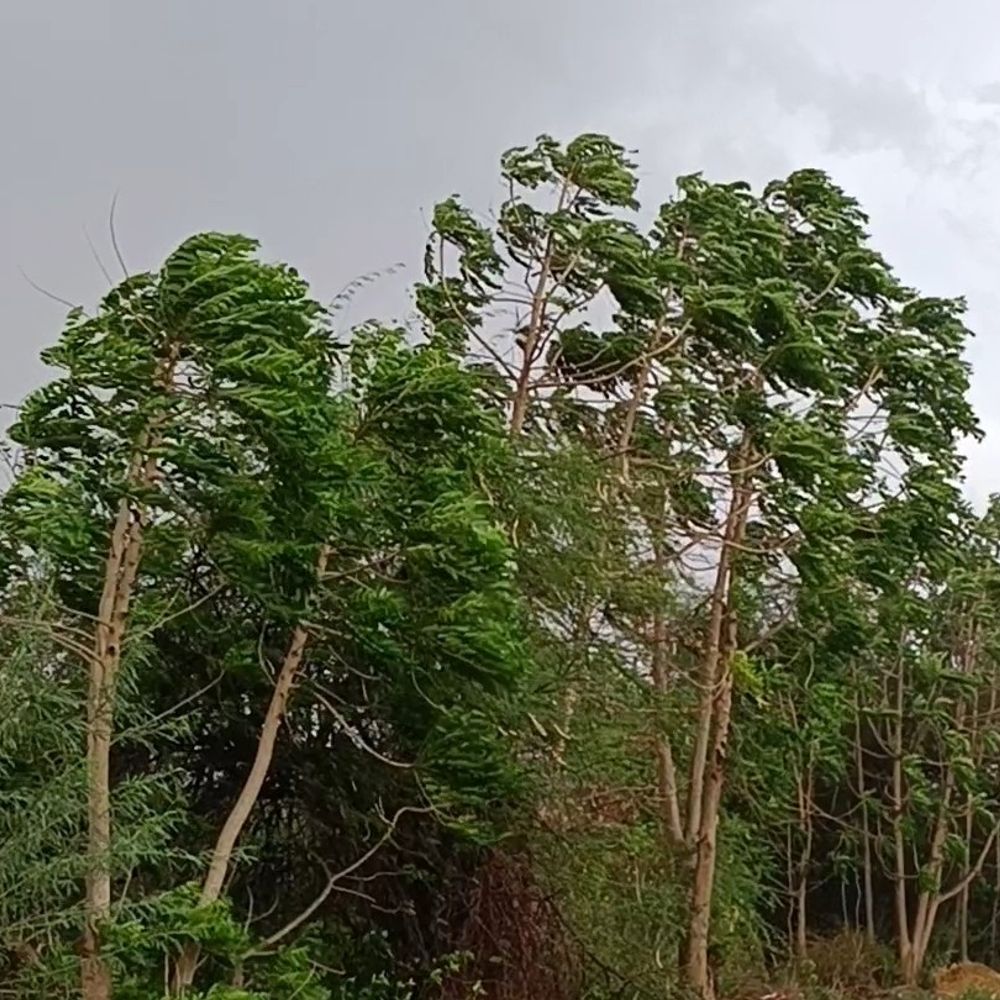 महोबा में मौसम बदला, तेज हवाओं के साथ बारिश:गर्मी से राहत, लेकिन सड़कों पर जलभराव और राहगीर परेशान