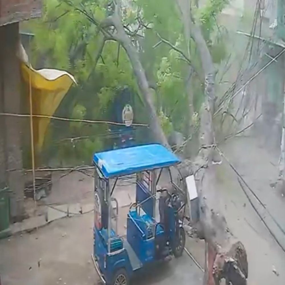 मऊ में आंधी से नीम का पेड़ गिरा, VIDEO:बिजली पोल भी धराशायी, 3000 घरों की बिजली गुल