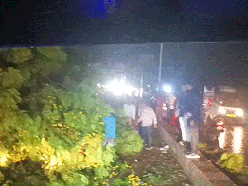 बिलासपुर में 91KM रफ्तार से चली आंधी:  जगह-जगह गिरे पेड़, शहर में कई जगह लगा जाम, पोल-तार टूटने से शहर से गांव तक ब्लैक आउट – Bilaspur (Chhattisgarh) News