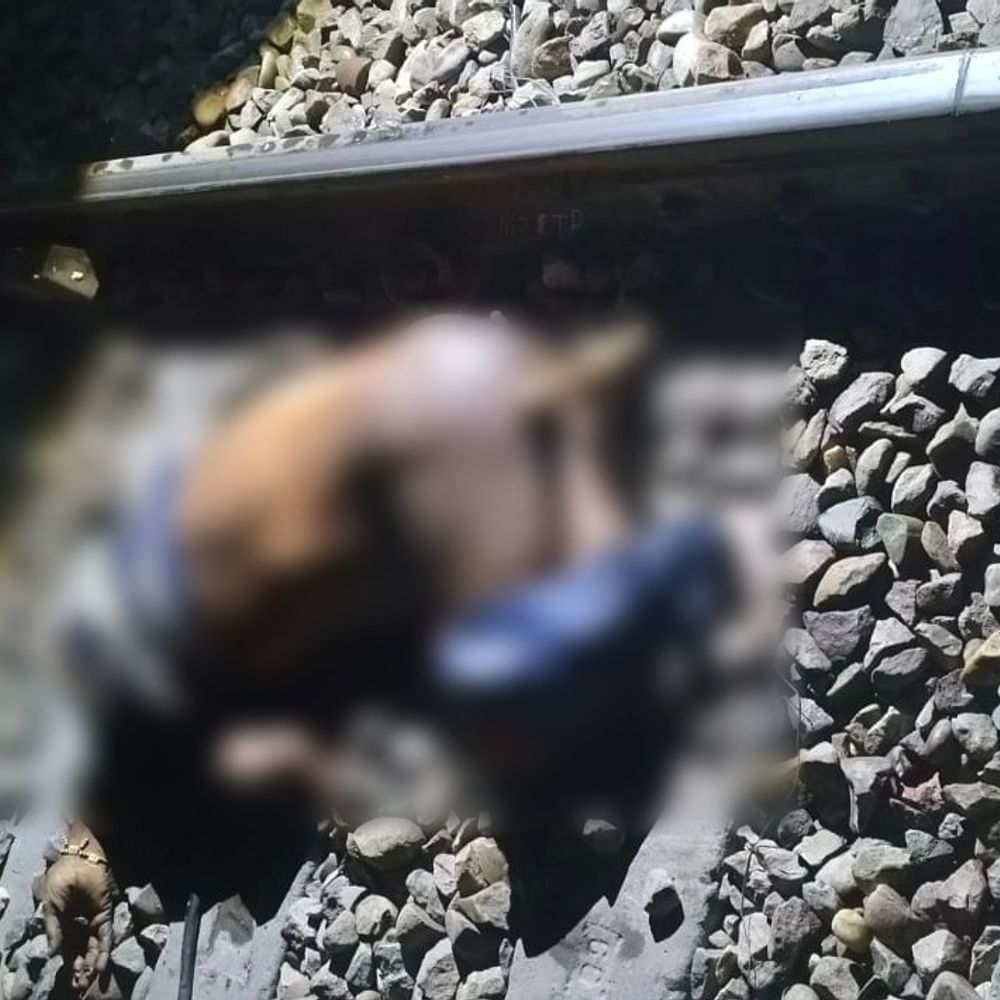 यमुनानगर में ट्रेन से कटकर व्यक्ति की मौत:  चेहरा बुरी तरह कुचला, 10 मीटर दूर जाकर गिरी टांग; शिनाख्त में जुटी पुलिस – Yamunanagar News