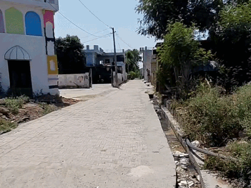 15 दिन से काले सांड की दहशत में गांव:  महिलाओं और पुरूषों को कर चुका घायल;राहगीरों को भी टक्कर देता हैं – Alwar News