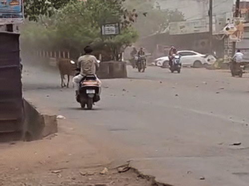 आज से थमेगी आंधी-बारिश, फिर तपाएगी गर्मी:  3 दिनों में 4 डिग्री तक बढ़ेगा पारा; राजनांदगांव 41 डिग्री के साथ सबसे गर्म – Chhattisgarh News