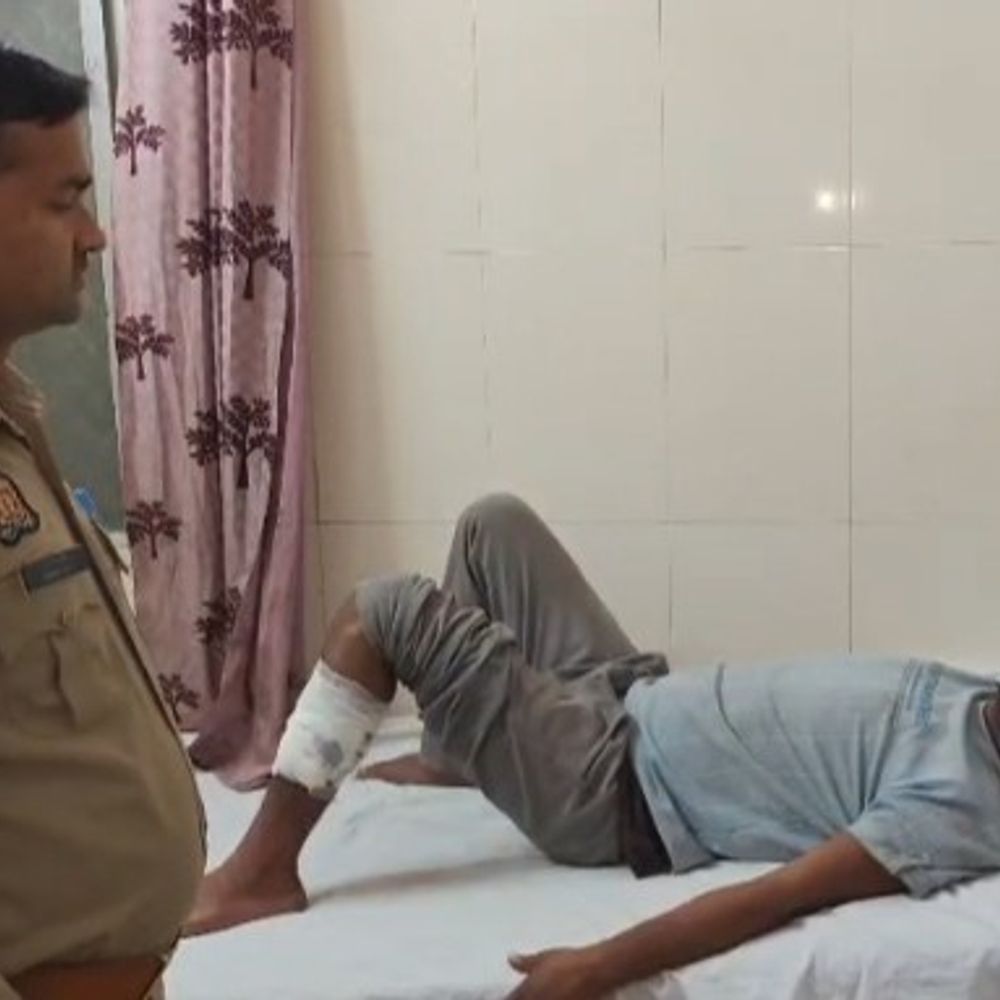 कौशांबी में पुलिस-भैंस चोर गैंग की मुठभेड़:2 आरोपियों को गोली लगी, 3 गिरफ्तार; 5 भैंसें और हथियार बरामद