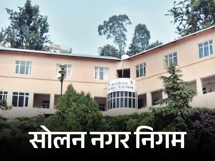 हिमाचल के नगर निगम चुनाव में अमीरों-महिलाओं का दबदबा:  38 प्रत्याशी टैक्स-पेयर, गरीबों को कांग्रेस-BJP ने भी नहीं लड़ाया, एक अनपढ़ भी मैदान में – Shimla News