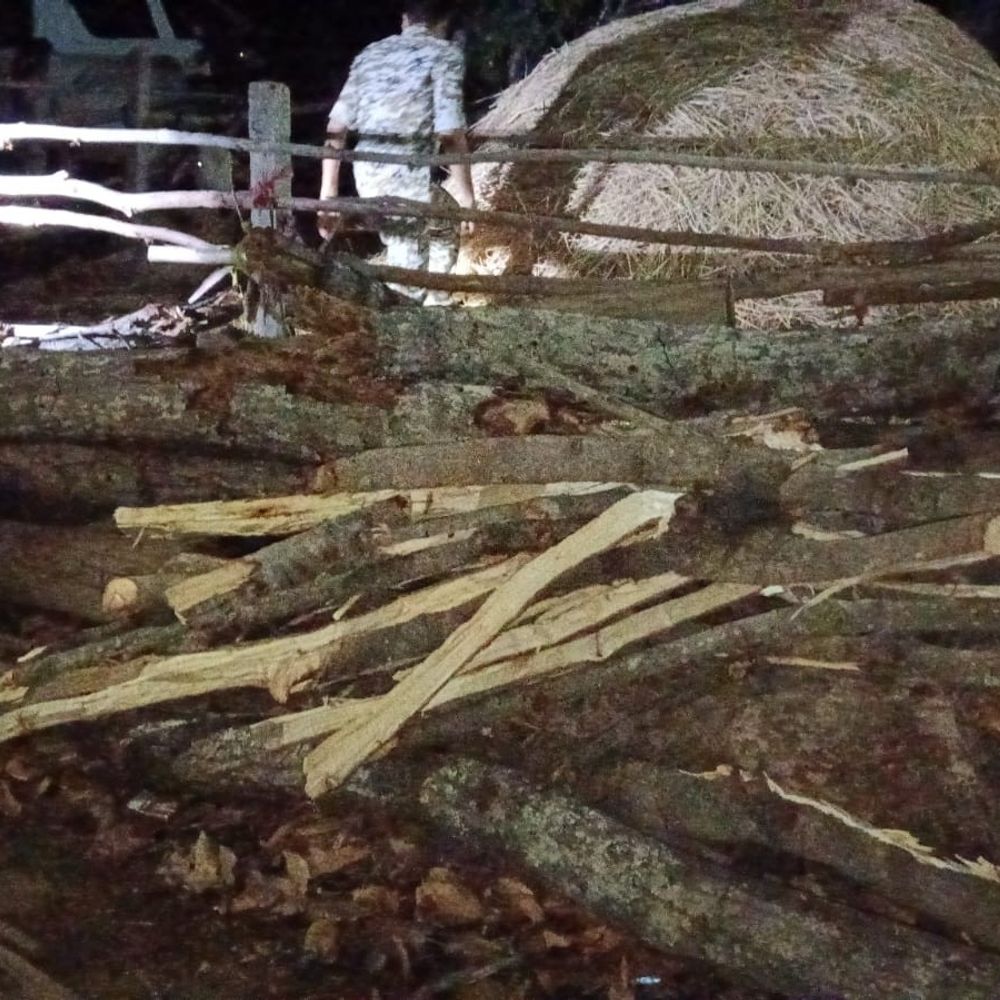 मरवाही वनमंडल में 2 लाख की अवैध लकड़ी जब्त:  136 चिरान, 11 लट्ठे बरामद; इलेक्ट्रिक मशीनें भी जब्त, दो हिरासत में – Gaurela News