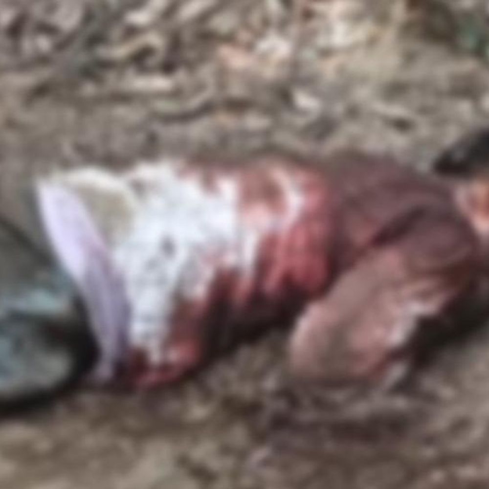 कोरबा में खून से लथपथ युवक की लाश मिली:  हत्या कर शव फेंकने की आशंका, किराए के मकान में रहता था – Korba News