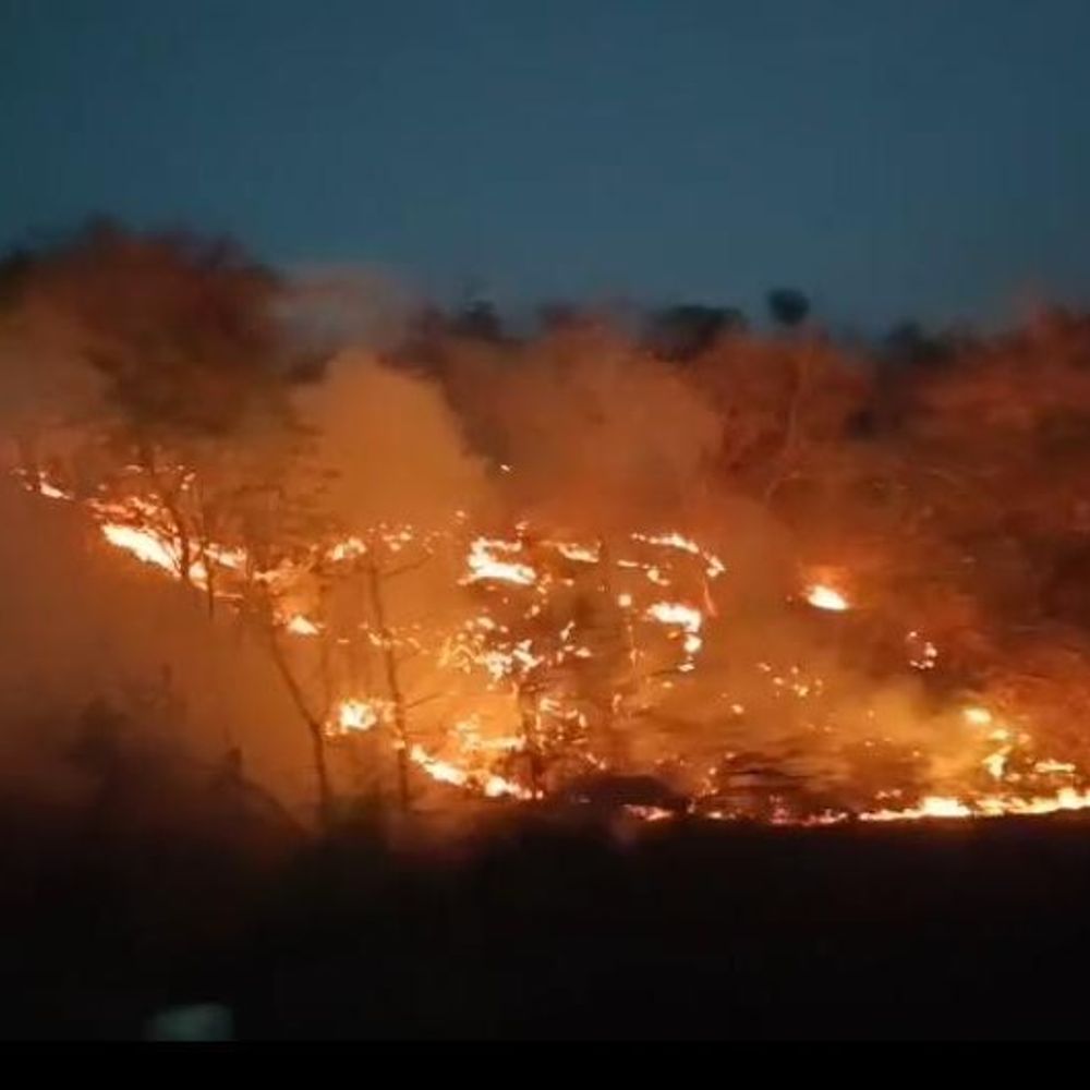 बावनगजा जंगल में एक माह में तीसरी आग:  राहगीरों की सूचना पर वन विभाग ने आग बुझाई – Barwani News