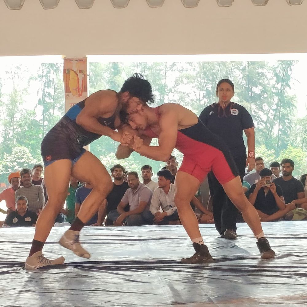 हरियाणा ने जीते 8 गोल्ड मेडल, फ्रीस्टाइल कुश्ती में दबदबा:  दिल्ली और सर्विसेज को भी 1-1 स्वर्ण, 57 पॉइंट के साथ यूपी चौथे स्थान पर रहा – Gonda News