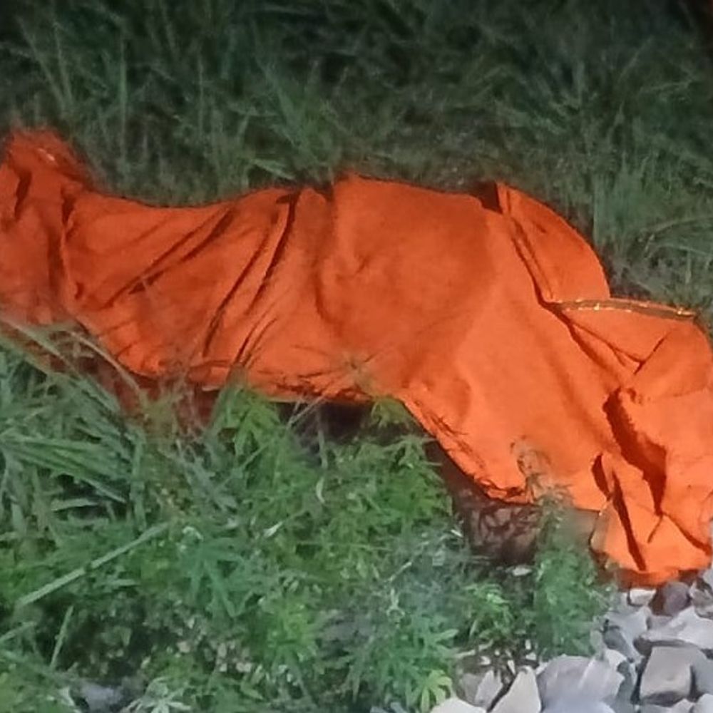 संभल में अलीगढ़-बरेली पैसेंजर ट्रेन से कटकर युवक की मौत:गिरकर रेलवे ट्रैक पर ही पड़ा रहा, बिकानेर जाने के लिए निकला था