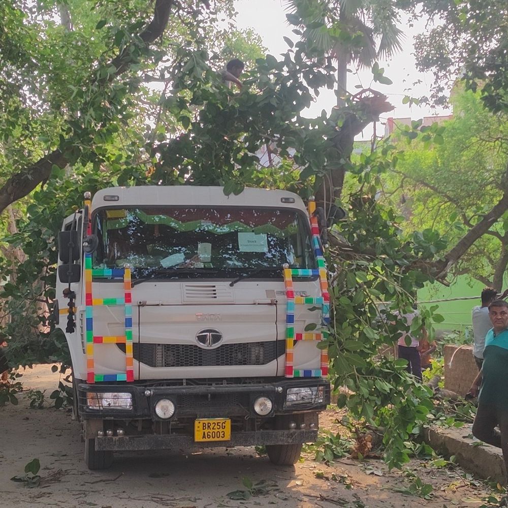 जहानाबाद में बालू लदे ट्रक पर बरगद का पेड़ गिरा:  घोड़ा अस्पताल के पास हाईवे पर हादसा हुआ, ड्राइवर-खलासी सुरक्षित – Jehanabad News