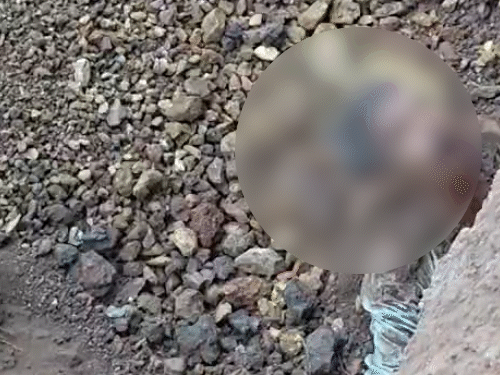 बालोद में मिट्टी धंसी, 3 मजदूरों की मौत:  सीवरेज लाइन काम के दौरान हादसा, 10 फीट गड्ढे में दबकर तोड़ा दम – Chhattisgarh News