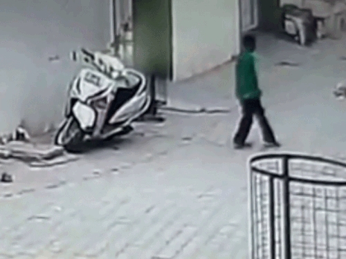 डबवाली में आवारा कुत्तों ने बच्चे को घेरा:  घर से बाहर निकाला था, तभी पीछे पड़े; दरवाजे पर खड़ी मां ने बचाया – dabwali News