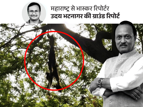 क्या अजित पवार के प्लेन क्रैश से पहले हुआ तंत्र-मंत्र:गांववाले बोले- बकरे की बलि, पूजा हुई; लेकिन ये दादा का खेत नहीं