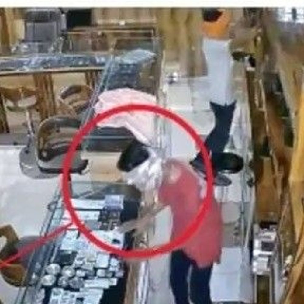 ज्वैलर्स में 90 लाख की चोरी, आरोपी ने लगाई फांसी:  1.5 KM दूर मोहल्ले में रुका स्निफर डॉग, साथी पकड़ाया; गरियाबंद में की थी पार्टी – Chhattisgarh News