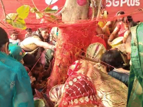 अखंड सुहाग के लिए महिलाएं आज करेंगी वट सावित्री व्रत:  भरणी-कृत्तिका नक्षत्र सहित सौभाग्य योग का संयोग, महिलाएं वट वृक्ष की परिक्रमा कर सुनेंगी सत्यवान-सावित्री कथा – Patna News
