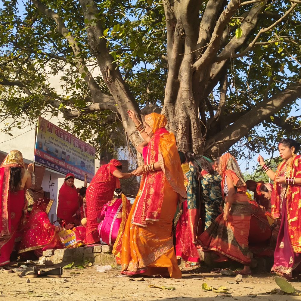 हरदोई में महिलाओं ने रखा वट सावित्री व्रत:पति की लंबी उम्र के लिए की वट वृक्ष की पूजा, मांगी सुख-समृद्धि