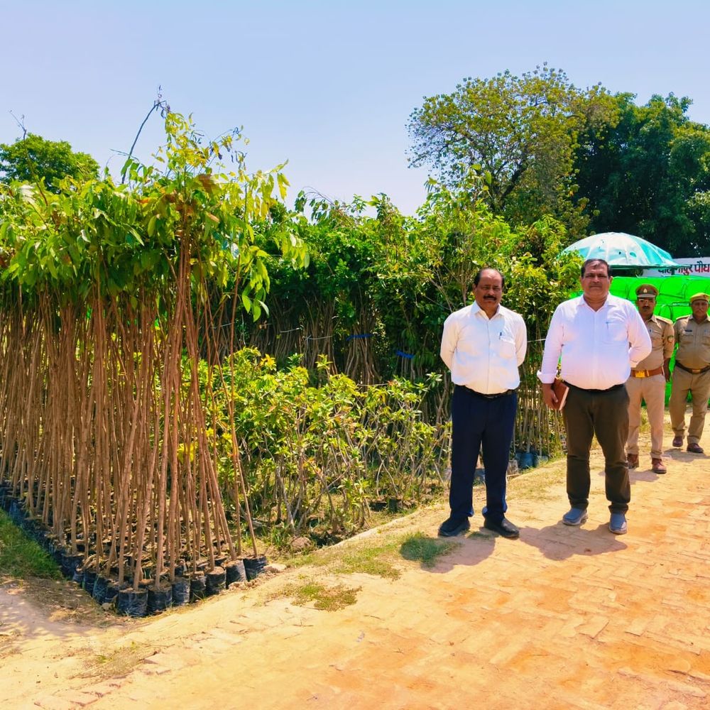 महर्षि चरक औषधि वन से होगा रोगों का निदान:वर्षाकाल में वन विभाग एक हेक्टेयर क्षेत्र में करेगा वन की स्थापना