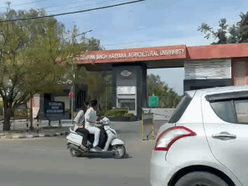 हिसार HAU में पेट्रोल-डीजल बचाने के आदेश:  अधिकारी-कर्मचारी हर शुक्रवार को पैदल-साइकिल पर आएंगे; रजिस्ट्रार ने जारी किए आदेश – Hisar News