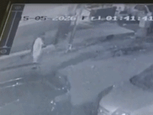 चंडीगढ़ में पिल्ले को जलते तंदूर में फेंकने वाला गिरफ्तार:  आरोपी बोला- भौंकने से परेशान था, मंडी में पल्लेदारी का करता है काम – Chandigarh News