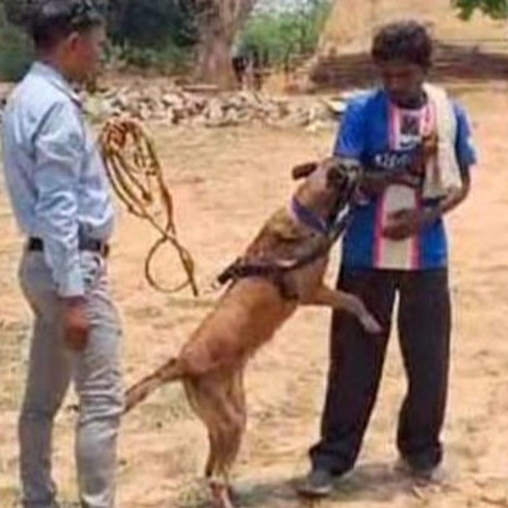 रायगढ़ में बेटे ने मां की हत्या की:  शराब पीने से मना करने पर दिया घंटना को अंजाम, पुलिस ने आरोपी को किया गिरफ्तार – Raigarh News
