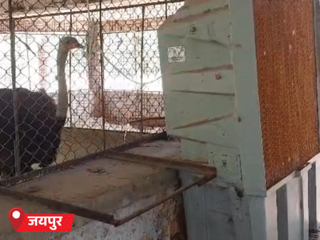 राजस्थान में आज भीषण गर्मी का अलर्ट:  पारा 46 के पार पहुंचा, बाड़मेर, जैसलमेर से ज्यादा गर्म जयपुर की रात – Jaipur News