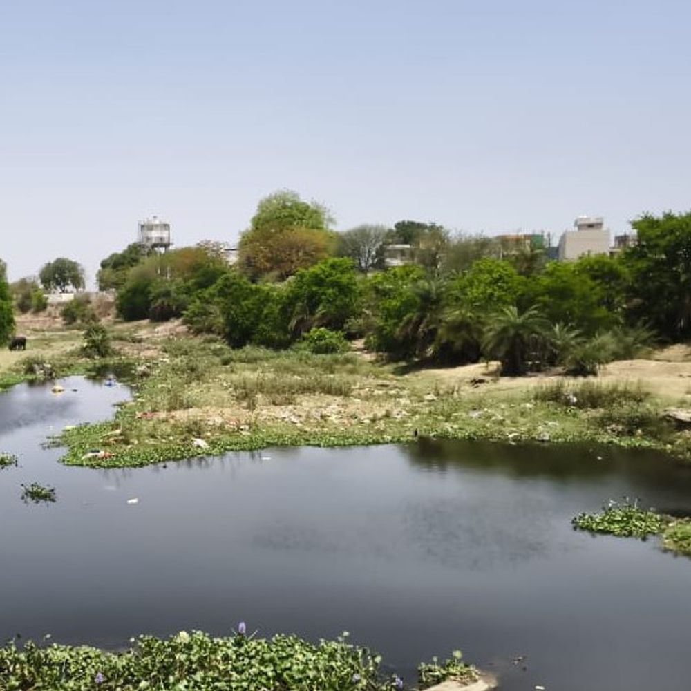 सीहोर में जल संकट, पूरी तरह सूखी सीवन नदी:  नौतपा से पहले 44 डिग्री के पार पहुंचा पारा, कलेक्टर ने दिए वैकल्पिक व्यवस्था के निर्देश – Sehore News