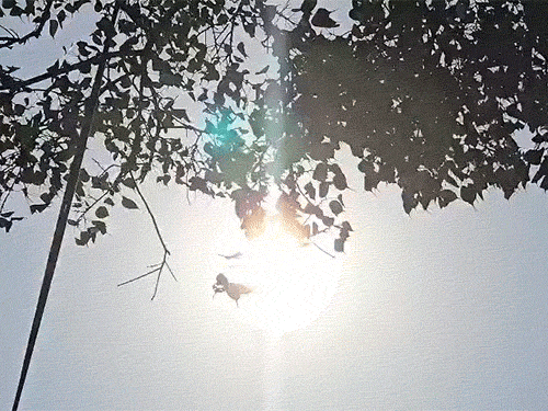 छत्तीसगढ़ में भीषण गर्मी, राजनांदगांव में पारा 46°C पहुंचा:  रायपुर-बिलासपुर, दुर्ग में 45°C के करीब; 18 जिलों में हीटवेव का अलर्ट – Raipur News