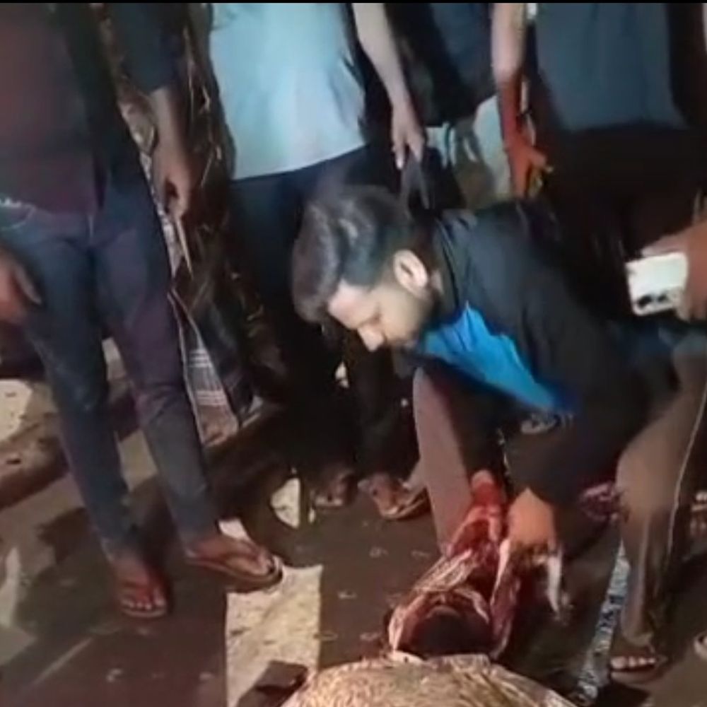 रामपुर में अज्ञात युवक ने बाइक सवार को मारी गोली:राम-रहीम ओवरब्रिज पर वारदात को अंजाम दिया, घायल युवक मुरादाबाद रेफर