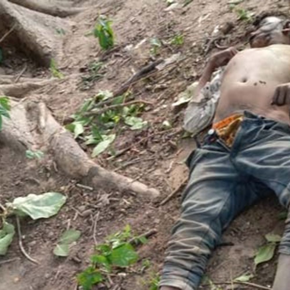 रायगढ़ के जंगल में मिली युवक की लाश:  हत्या की आशंका, पुलिस हिरासत में संदेही, जांच में जूटी पुलिस – Raigarh News