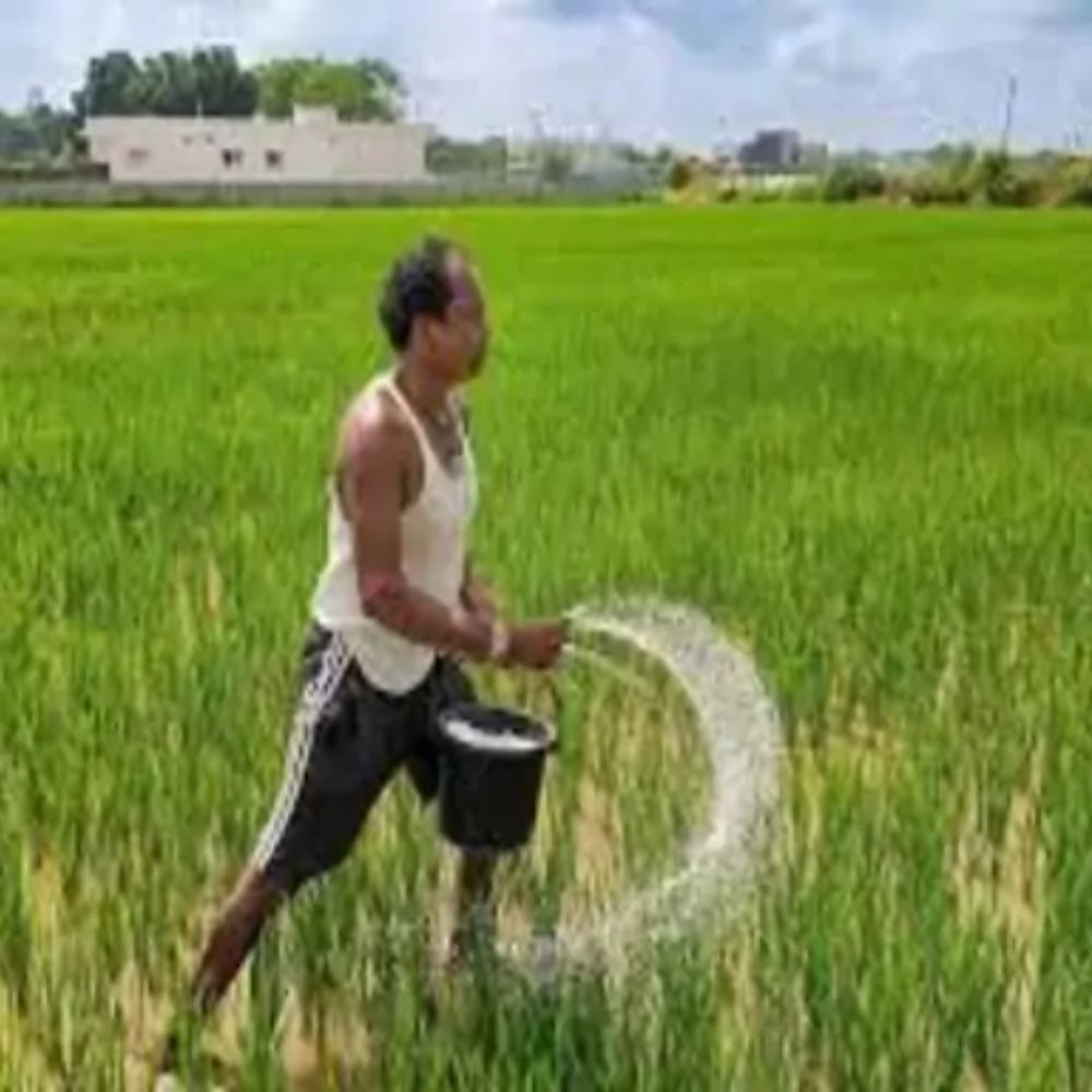 रकबे के आधार पर समितियों से मिलेगा किसानों को खाद:  रायपुर में अफसरों का दावा-उर्वरक का पर्याप्त भंडार, नैनो उर्वरक लेना पूरी तरह वैकल्पिक – Raipur News