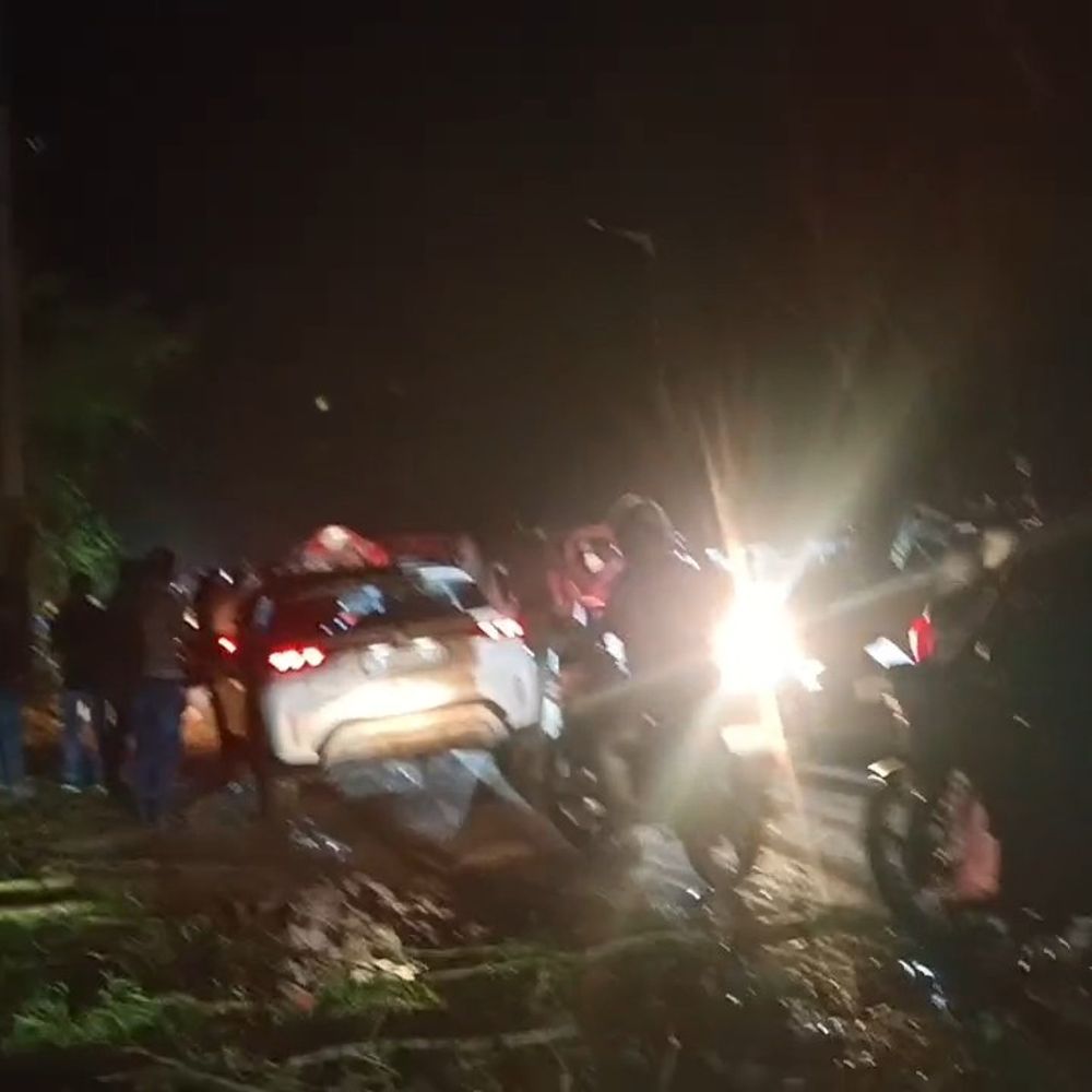 मथुरा में चलती कार पर गिरा पेड़:महिला समेत तीन घायल, आंधी-तूफान के कारण हुआ हादसा; बालाजी से लौट रहा था परिवार