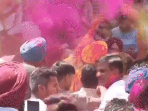 पंजाब निकाय चुनाव में AAP का दबदबा:203 सीटें जीतीं; कांग्रेस दूसरे नंबर पर, निर्दलीयों ने अकाली दल-BJP को पीछे छोड़ा