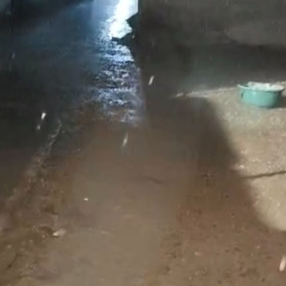 मुरैना में बारिश से मिली राहत, तापमान में आई गिरावट:अगले दो से तीन दिन ऐसा ही मौसम रहने का अनुमान